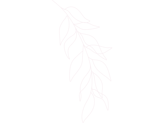 leaf icon